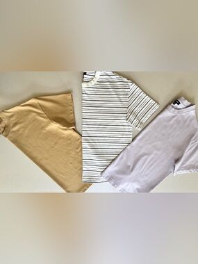 Express Cropped Tee Bundle Sz M 3pc Neutral Basic Boxy Minimalist Set